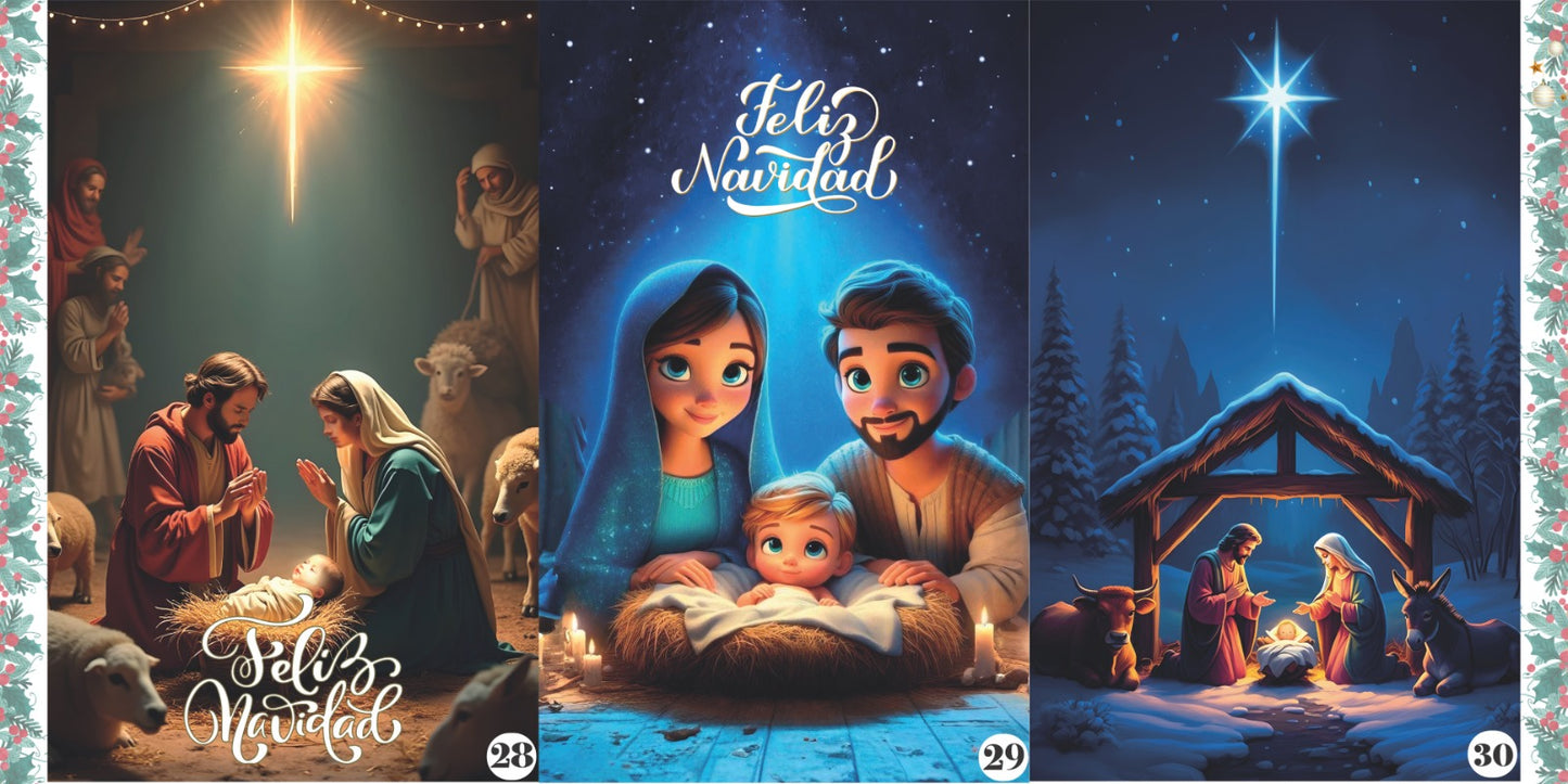 Funda Navideña para puertas