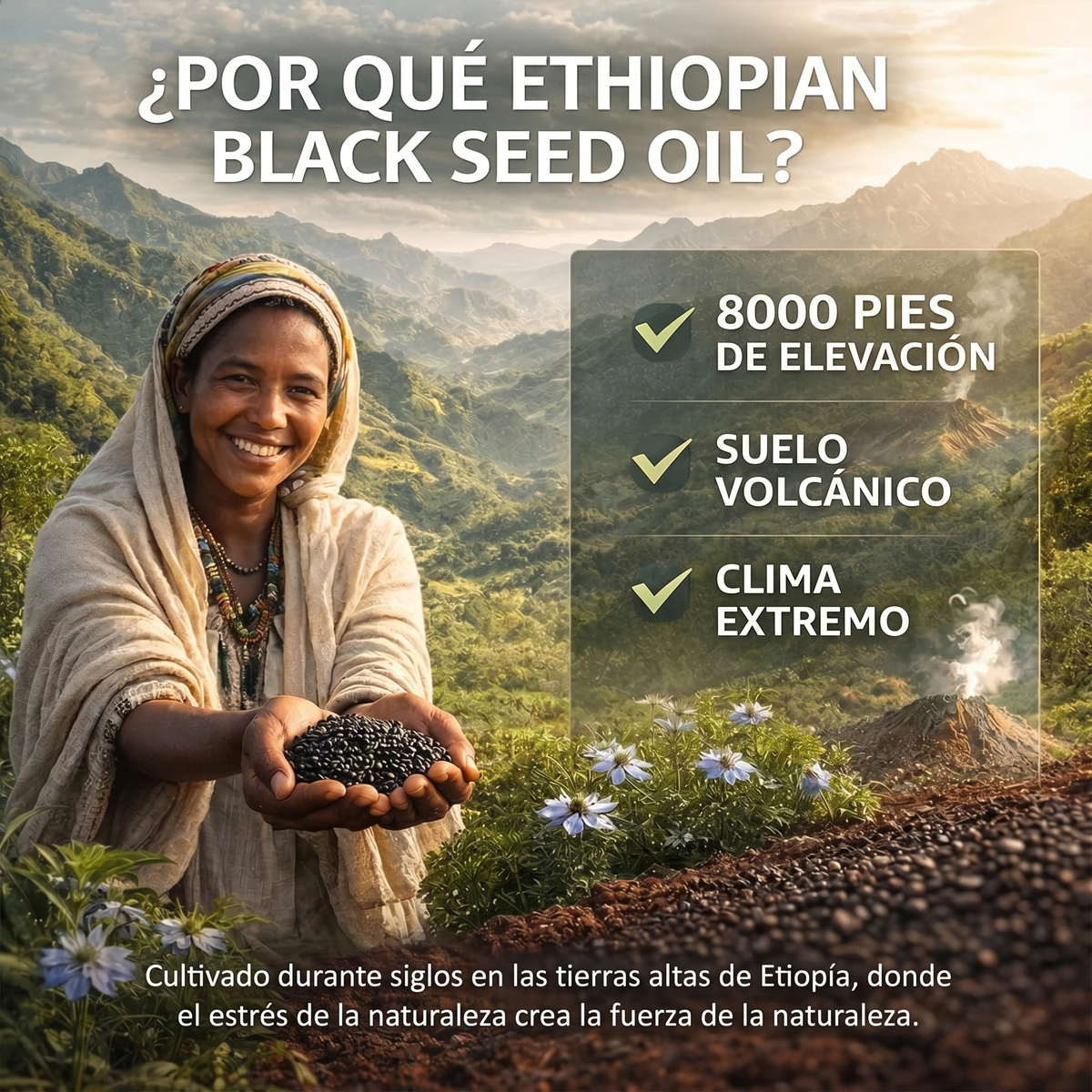 ETHIOPIAN BLACK SEED OIL - Aceite de Semilla Negra de Etiopia